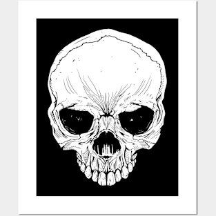 Skull - White Posters and Art